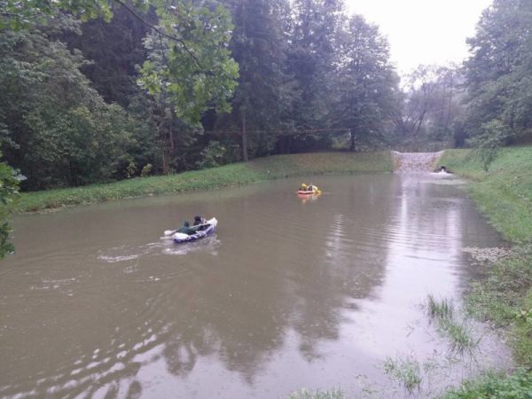 Aktivita Král sedmi moří